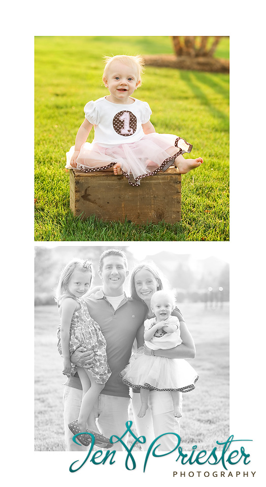 First Birthday Portraits Michigan Family Sibling Children Photography