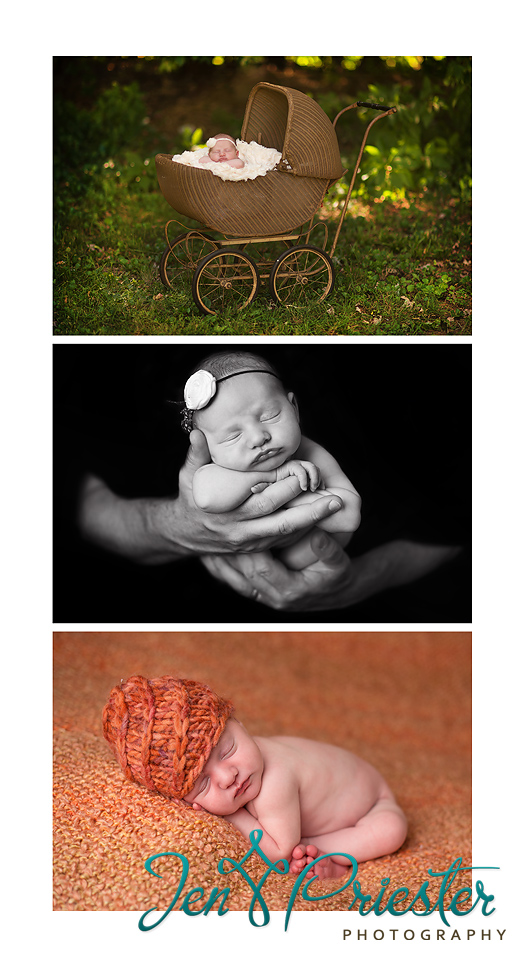 Canton Michigan Newborn Photographer 