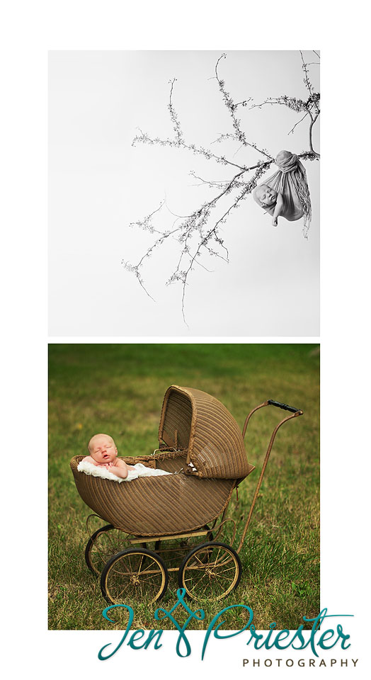 Michigan Newborn Photography Portraits MI Family Stunning Tree Branch