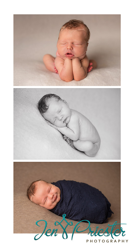 michigan newborn photography royal oak bloomfield hills rochester auburn hills clarkston