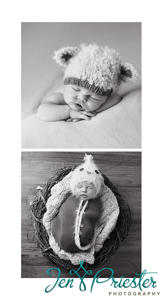 rochester michigan newborn photographer awesome photography mi canton ann arbor award winning