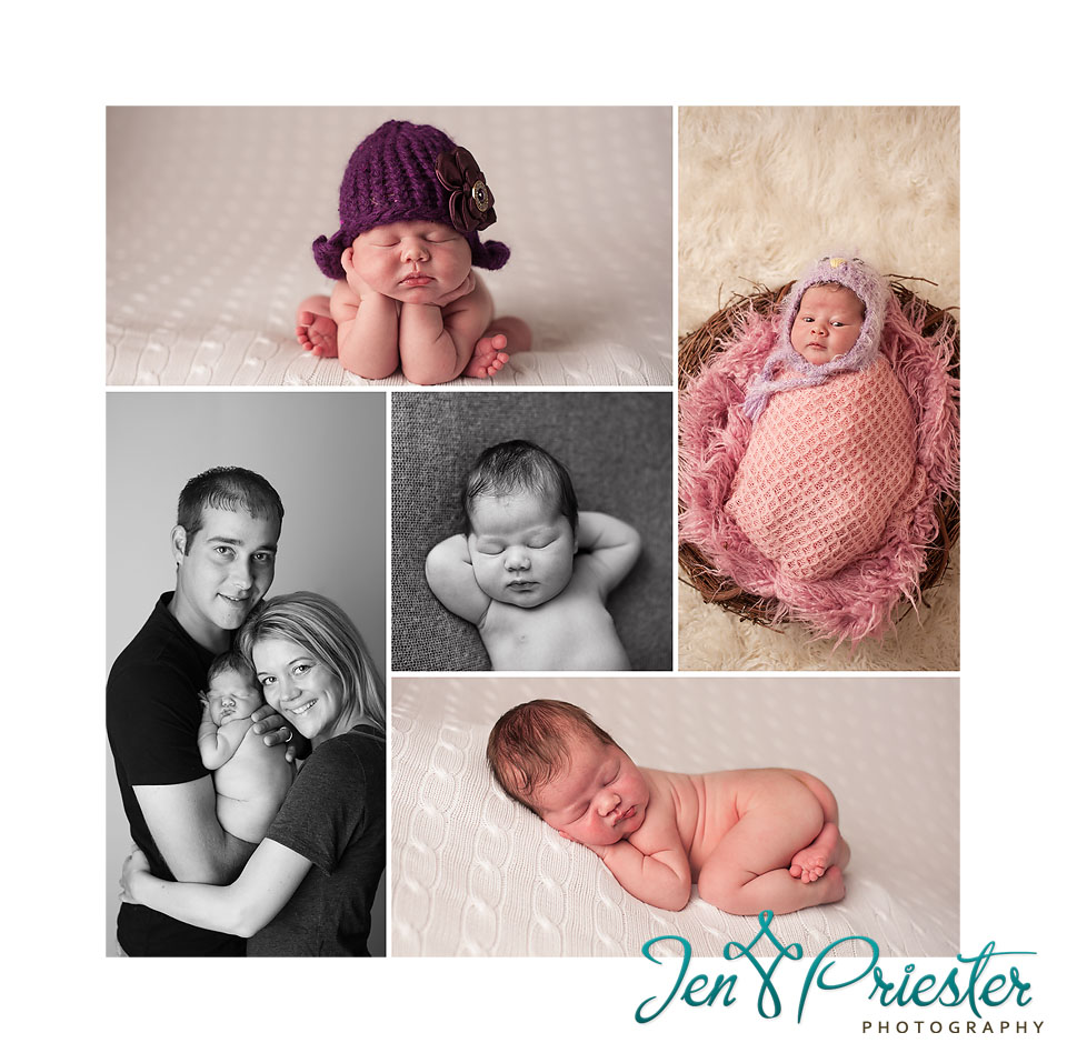 Arbor Newborn Photographer Michigan
