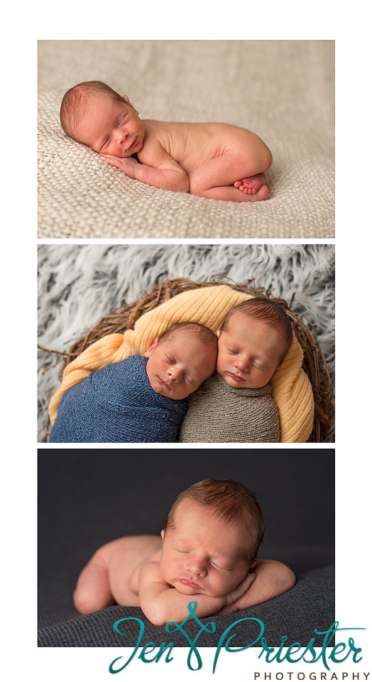Ann Arbor Twin Photographer of newborns