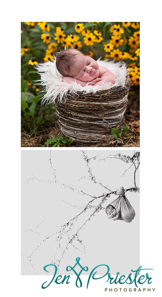 Arbor Newborn Photographer Michigan
