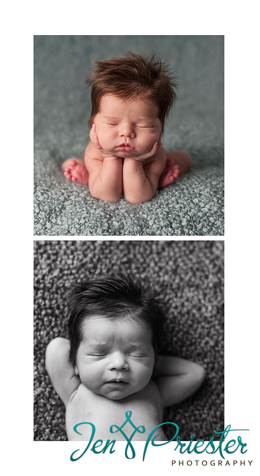 oakland michigan newborn photographer 