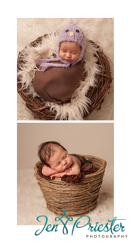 Ann Arbor MI Baby Newborn Photographer 