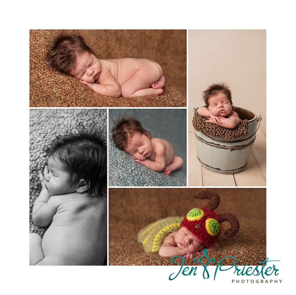 saginaw midland michigan newborn photographer 