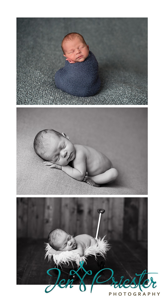 Ann Arbor Michigan Newborn Photographer 