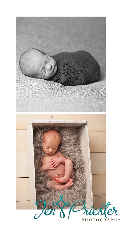 Canton MI newborn photographer 