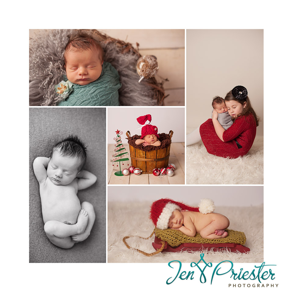 canton MI newborn photographer 