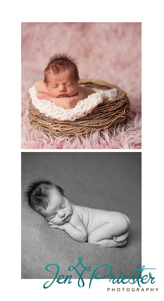 canton MI newborn photography