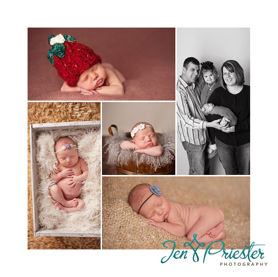 brighton michigan newborn photographer