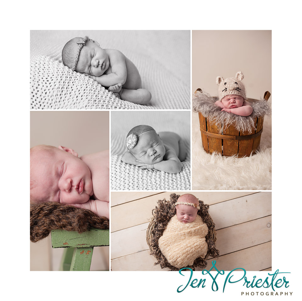 ann arbor michigan newborn photography