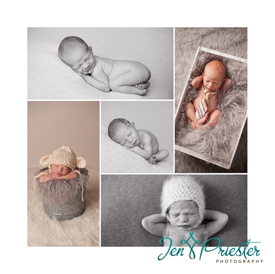 ann arbor michigan newborn photographer 