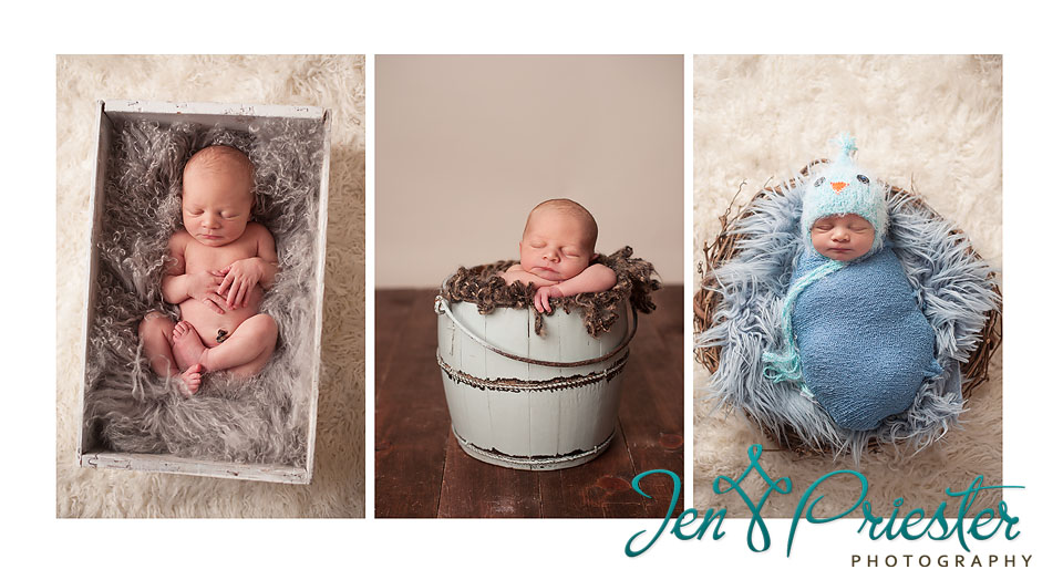 best newborn photographer canton mi