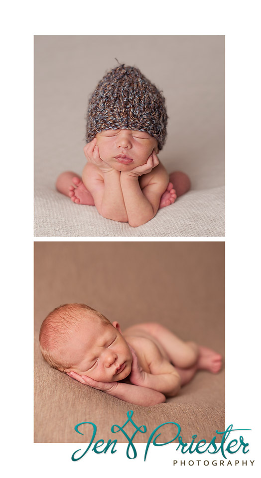 rochester michigan newborn photographer 