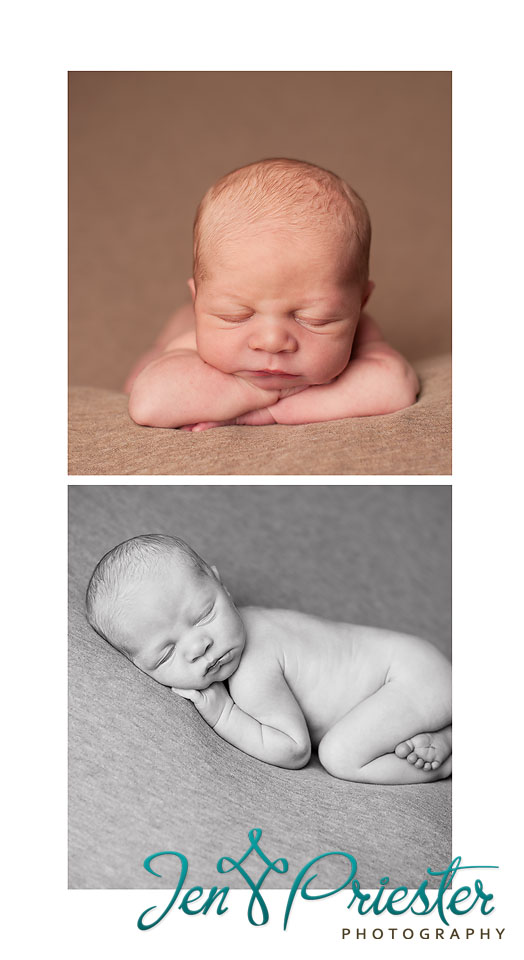 canton michigan newborn photographer 