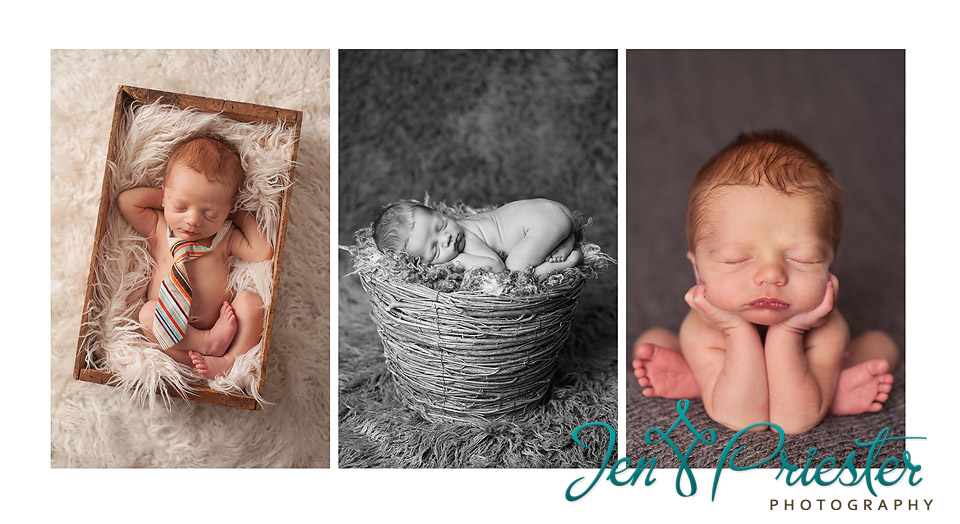 ann arbor michigan newborn photographer