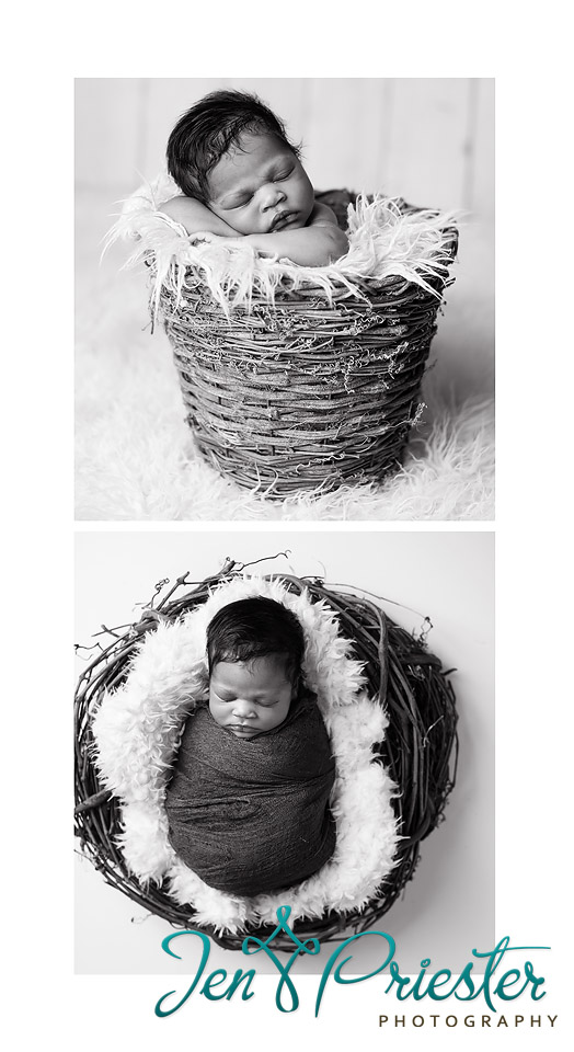 newborn portraits in ann arbor mi