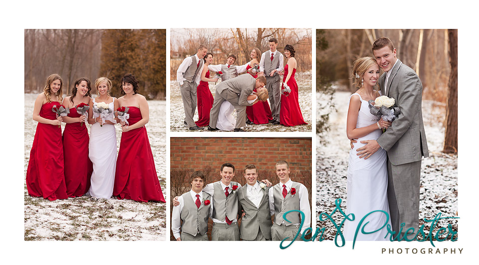Michigan Wedding Photographer
