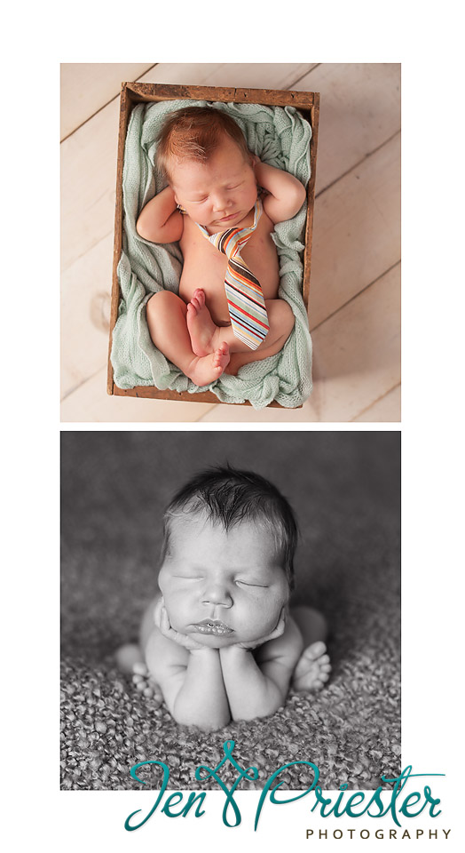 birmigham michigan newborn photographer 
