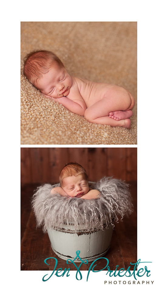 troy MI newborn photographer