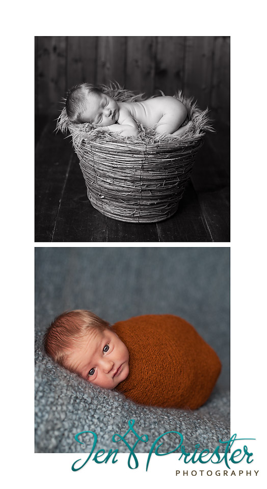 Ann Arbor Michigan Newborn Photographer 