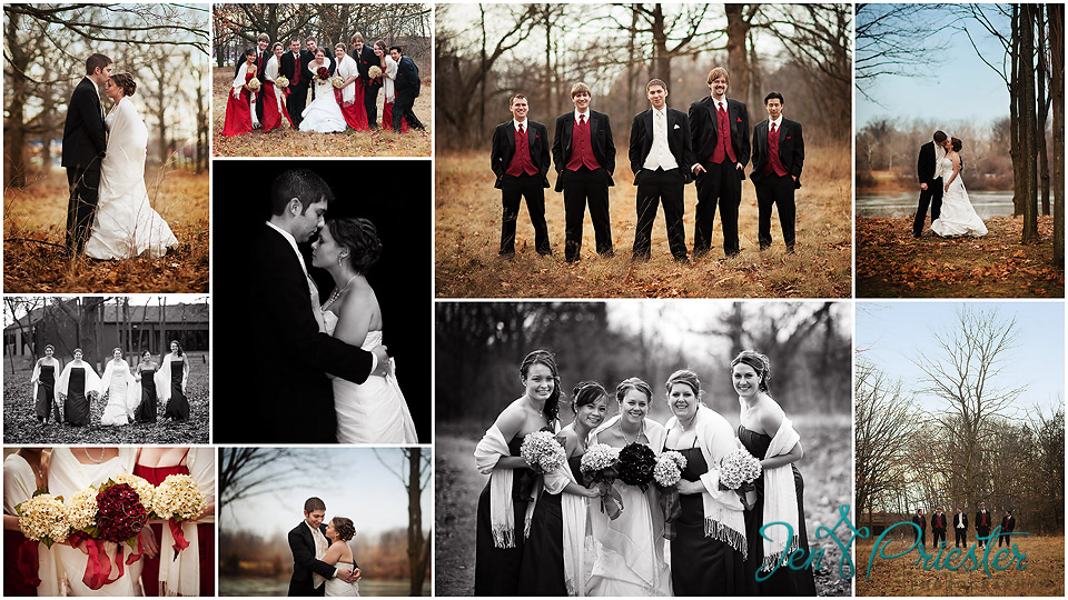 ann arbor Michigan wedding photographer