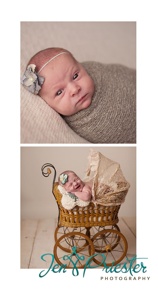 best photographers michigan