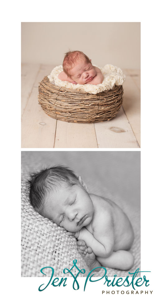 ann arbor photographer newborn baby
