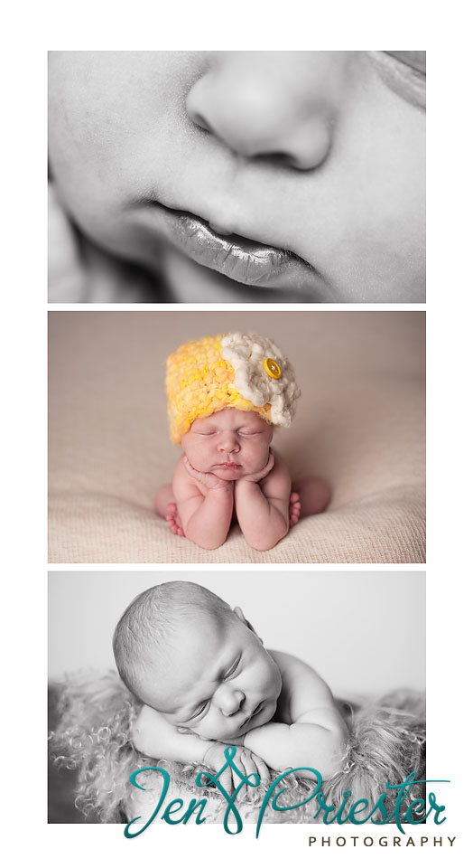 canton mi baby newborn photography family