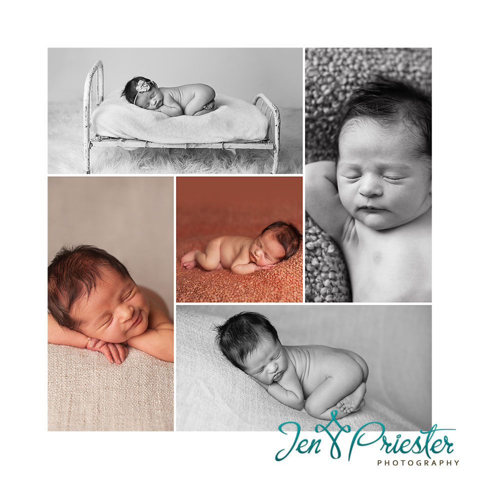 michigan newborn photographer canton 