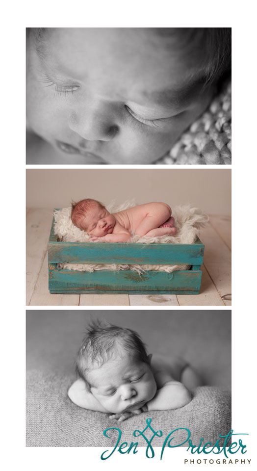 toledo ohio newborn photographer 