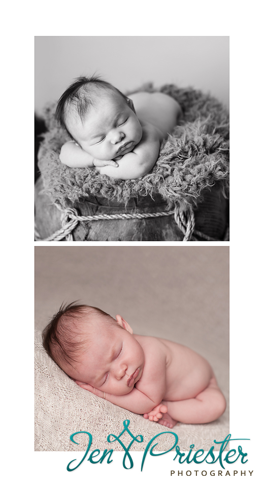 shelby township MI newborn photographer 