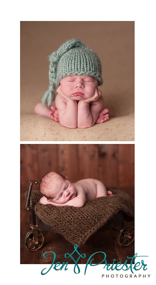 ann arbor michigan newborn photographer 