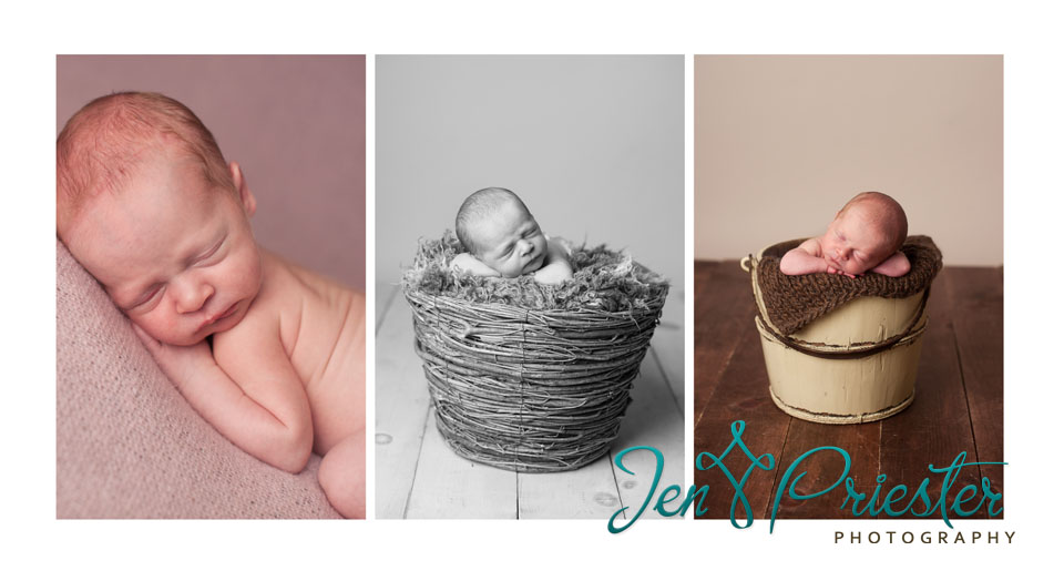 novi michigan newborn photographer 
