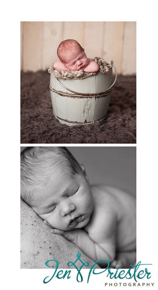 canton brighton michigan newborn photographer