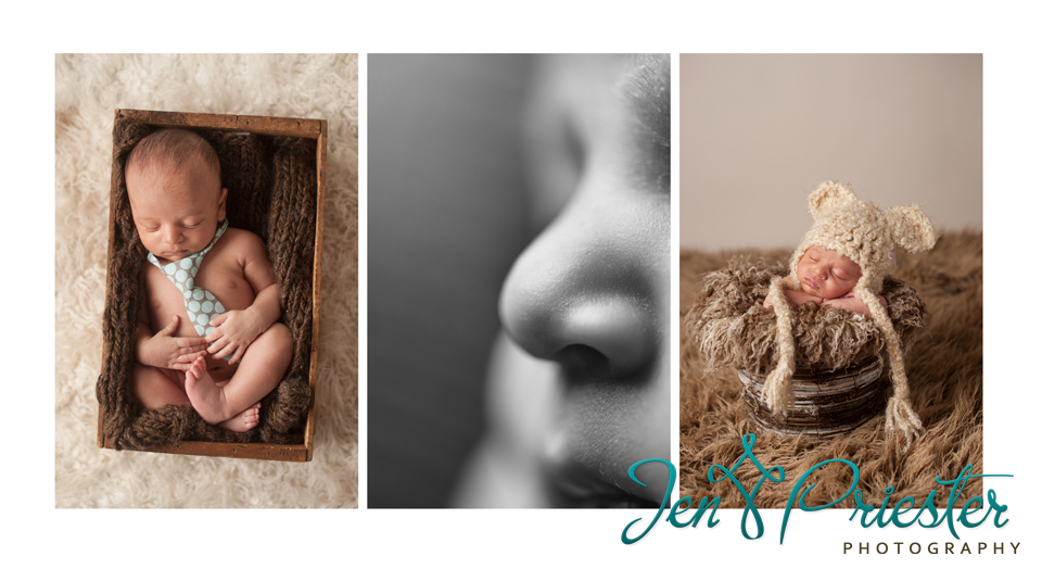 West Bloomfield Michigan Newborn Photographer