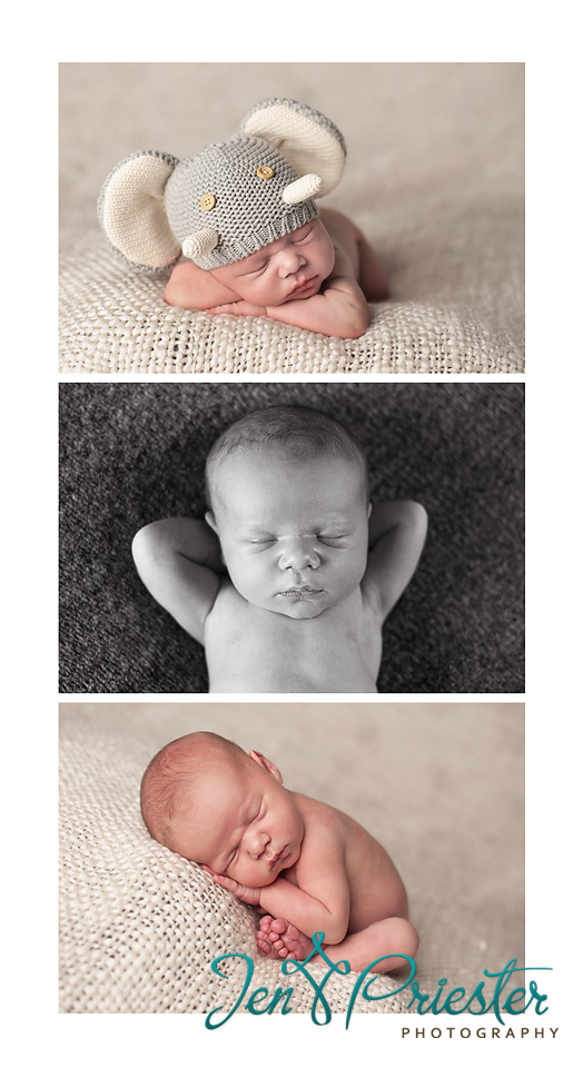 cute newborn photos southeast michigan ann arbor brighton MI