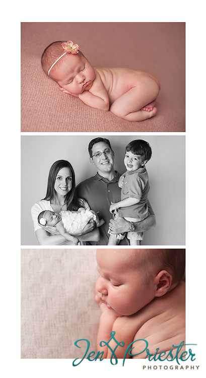 novi mi newborn photographer award winning