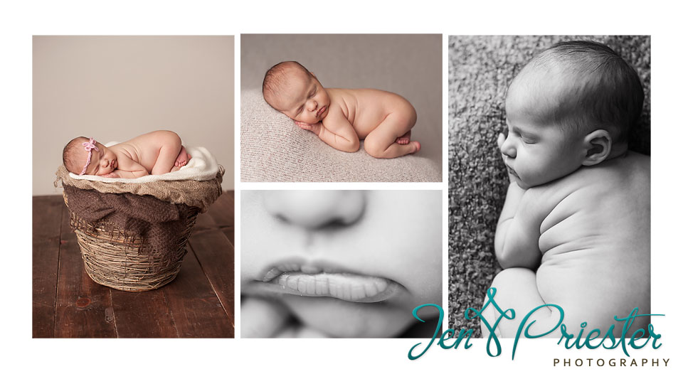 michigan newborn photographer ann arbor MI