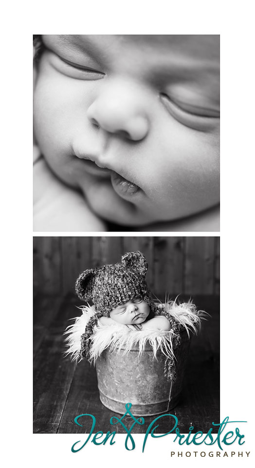 west bloomfield mi newborn photography