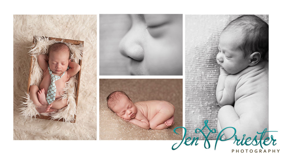 best newborn photographer michigan baby photography