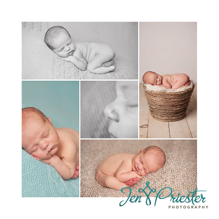toledo oh newborn photographer 