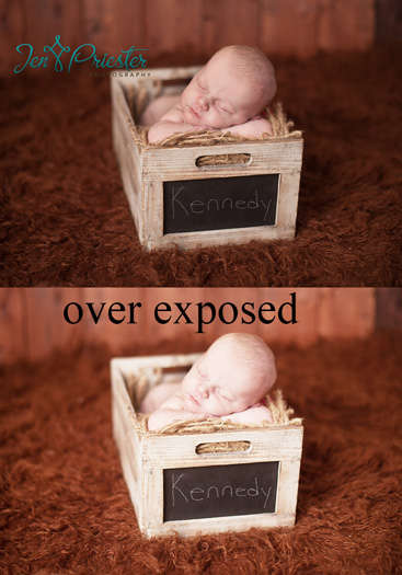 newborn photographer ann arbor michigan