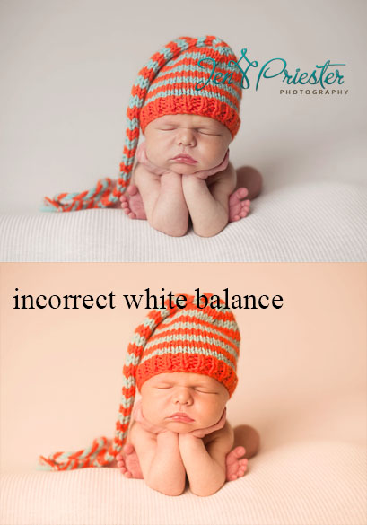 professional newborn photography