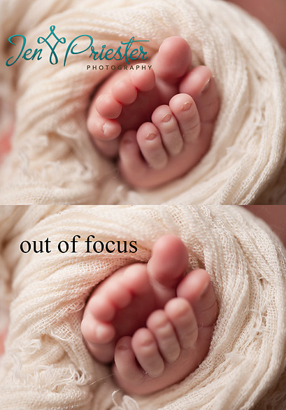 belleville michigan newborn photography