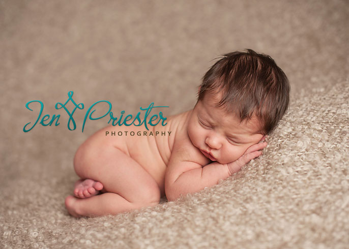 novi mi newborn photographer 