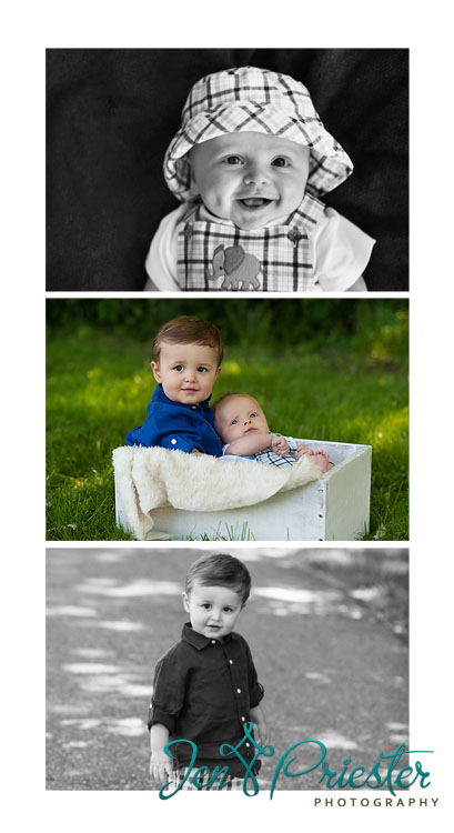 novi mi photographer 