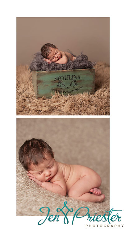 belleville mi newborn photographer 